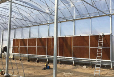 Agricultural Multi Span Poly Film Greenhouse Stable Hydroponic Growing Systems