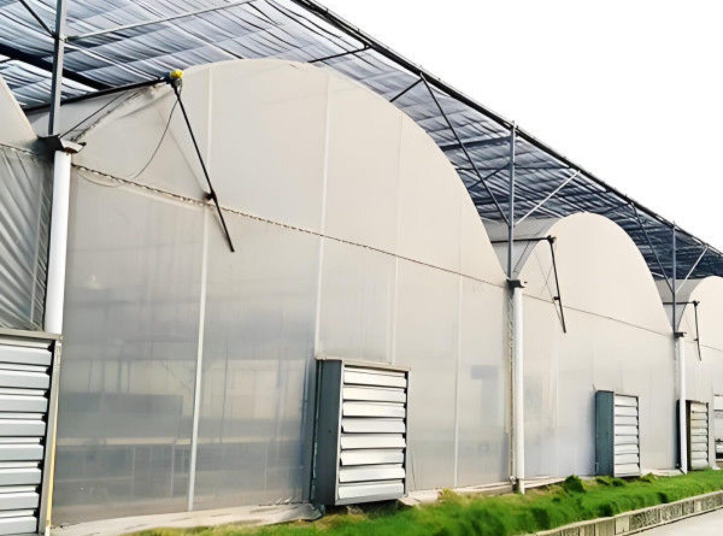 Agricultural Multi Span Poly Film Greenhouse Stable Hydroponic Growing Systems