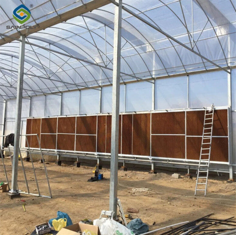 Agricultural Multi Span Poly Film Greenhouse Stable Hydroponic Growing Systems