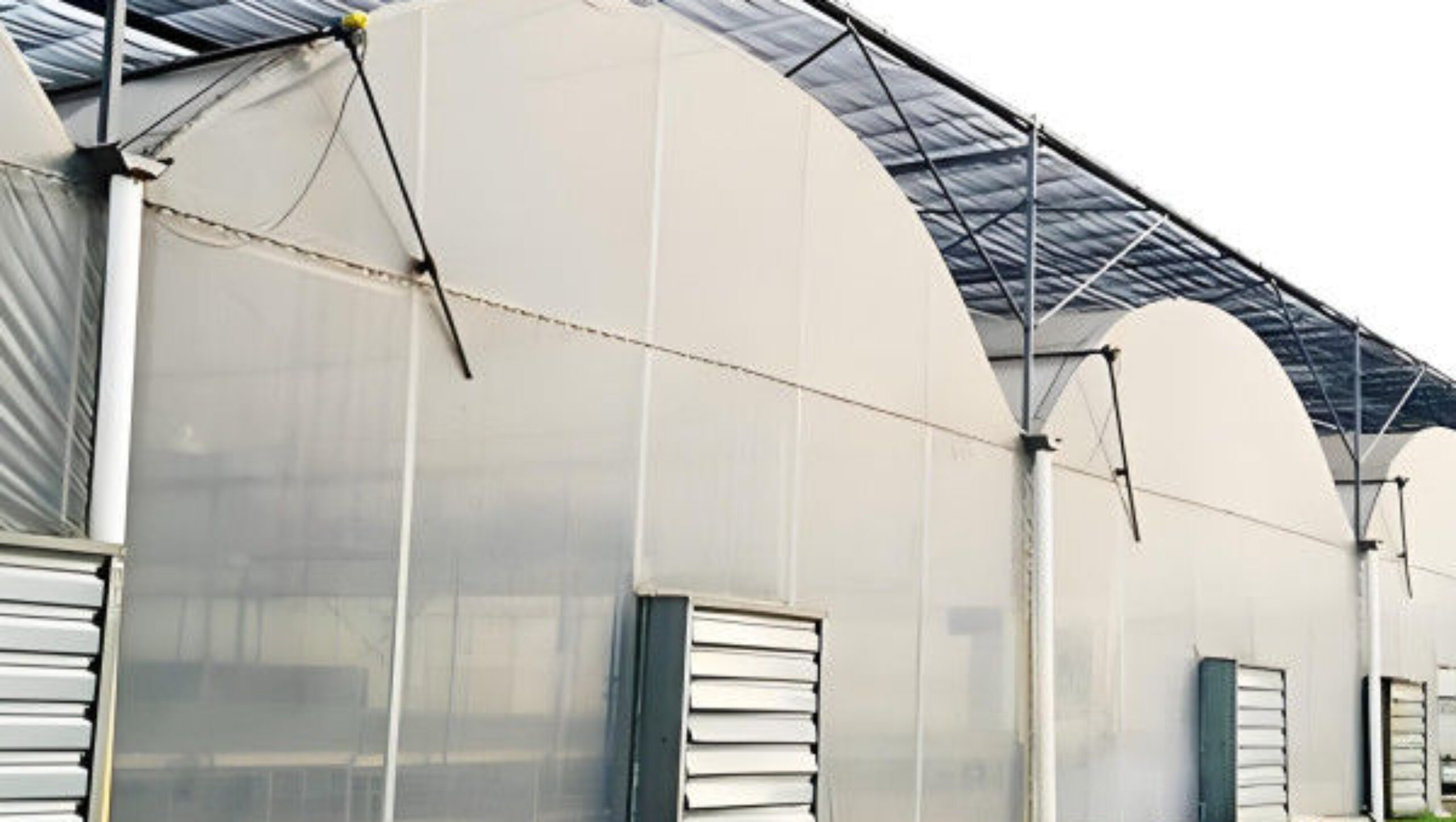 Agricultural Multi Span Poly Film Greenhouse Stable Hydroponic Growing Systems