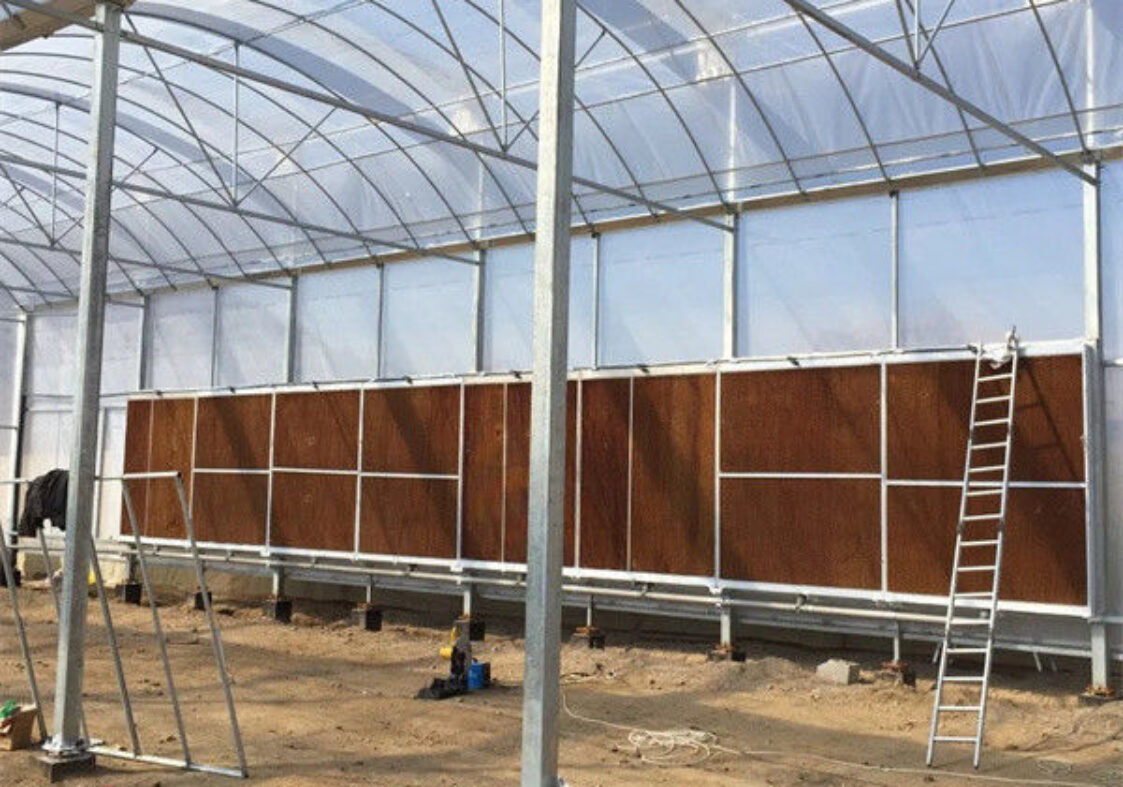 Agricultural Multi Span Poly Film Greenhouse Stable Hydroponic Growing Systems