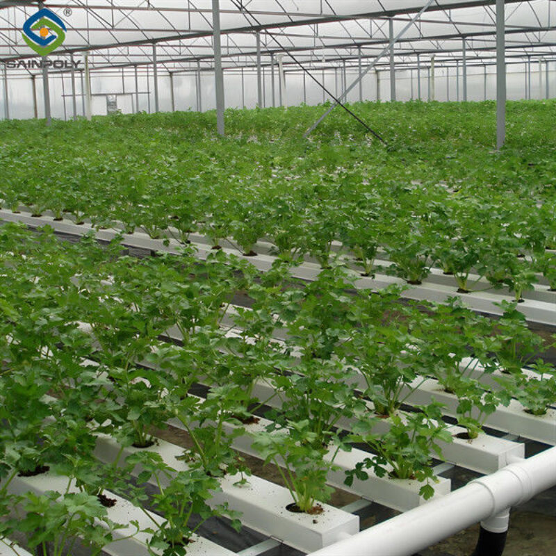 Agricultural Multispan Greenhouse Complete Hydroponic Nft Greenhouse