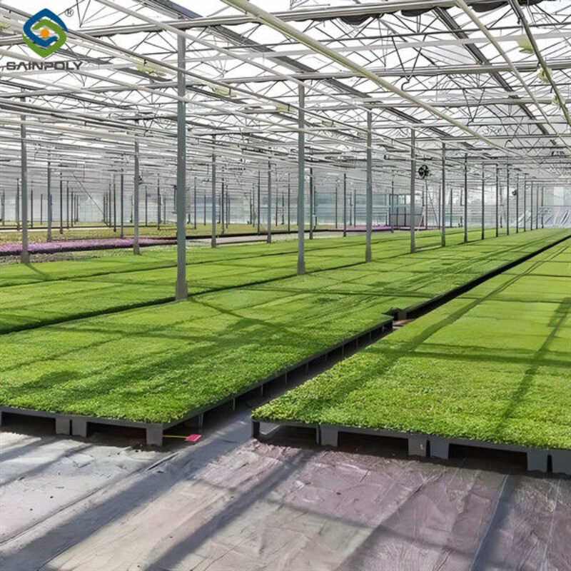 Agricultural Multispan Greenhouse Complete Hydroponic Nft Greenhouse
