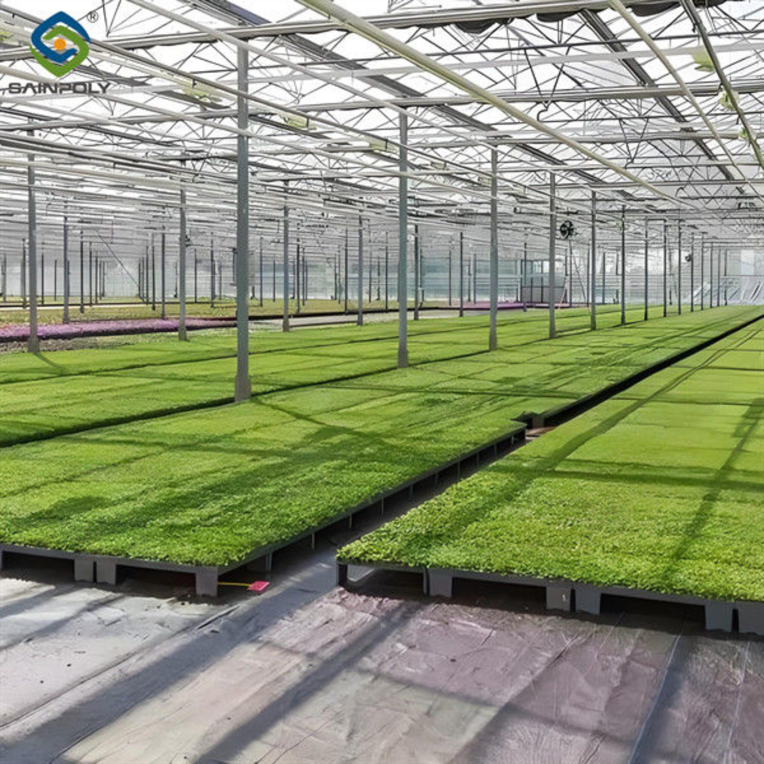 Agricultural Multispan Greenhouse Complete Hydroponic Nft Greenhouse