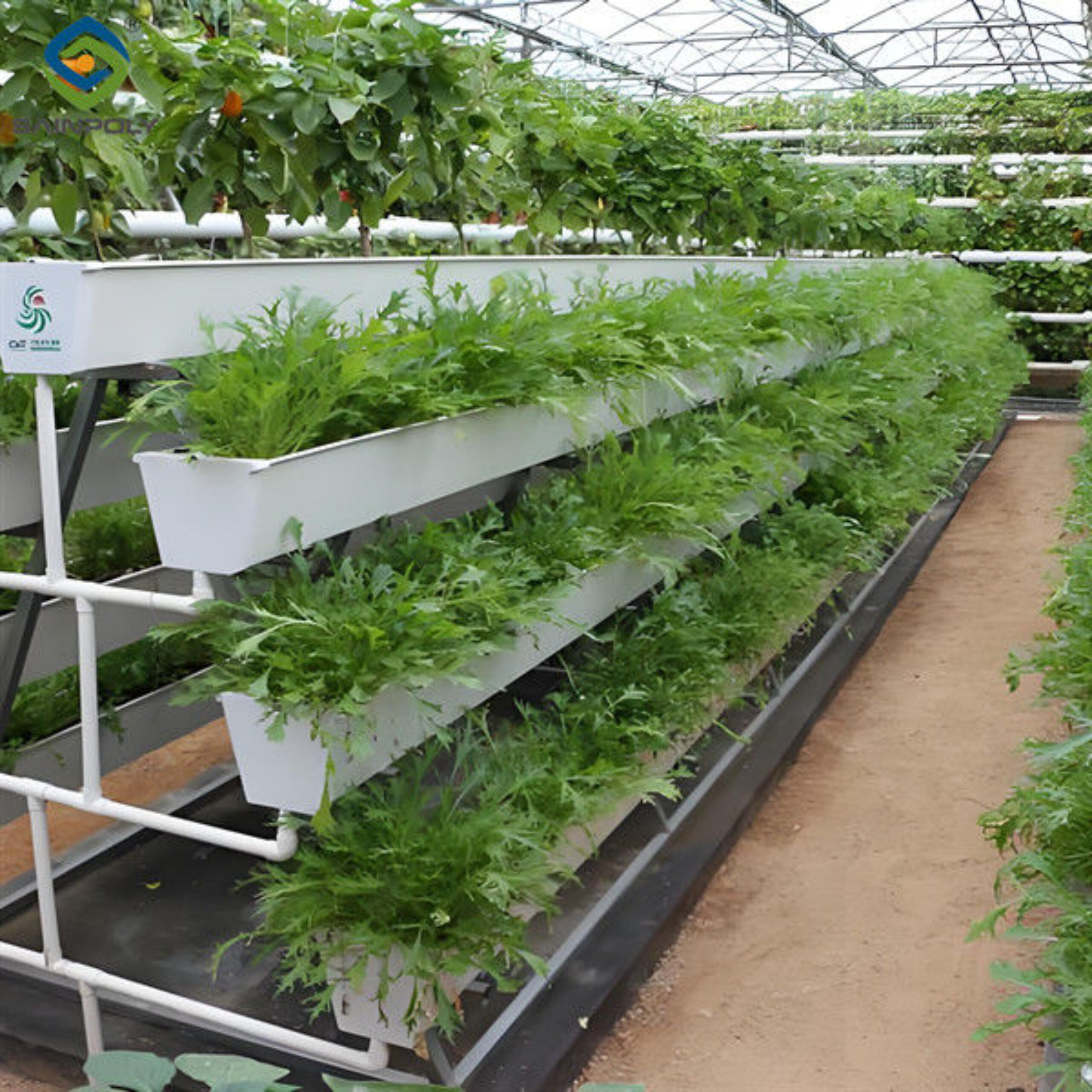Agricultural NFT Vertical Growing Greenhouse Soilless Greenhouse Multi Span