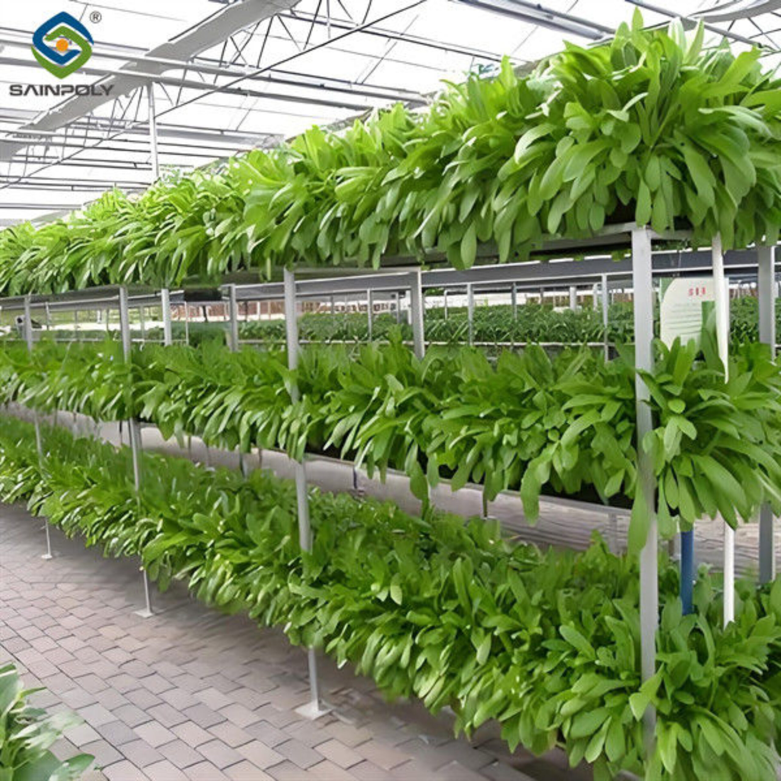 Agricultural NFT Vertical Growing Greenhouse Soilless Greenhouse Multi Span