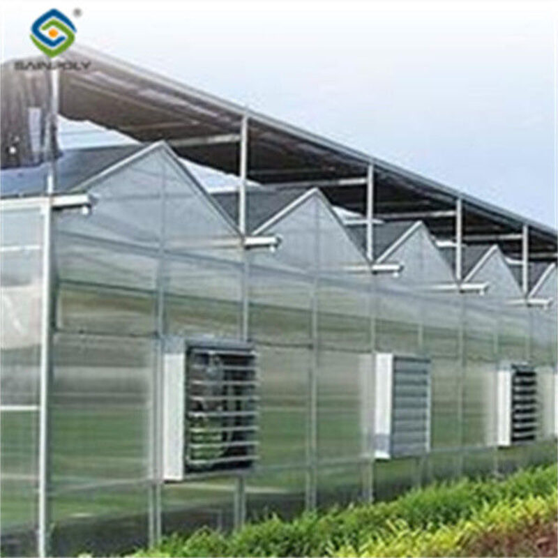 Agricultural Polycarbonate Multi Span Greenhouse Venlo Style 30-60m Length
