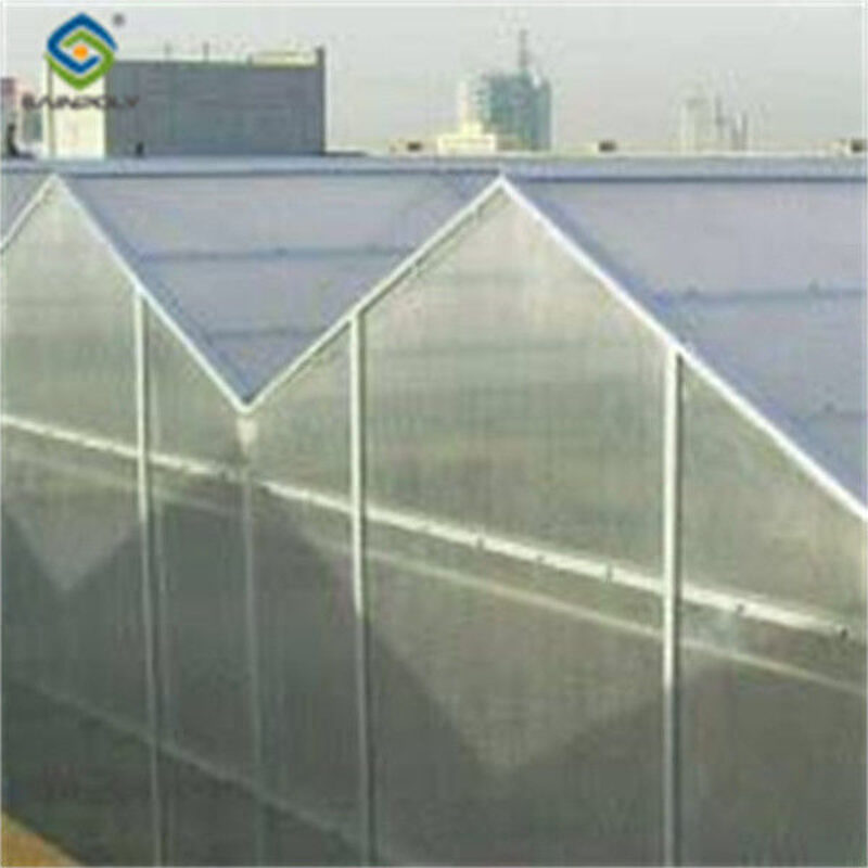Agricultural Polycarbonate Multi Span Greenhouse Venlo Style 30-60m Length