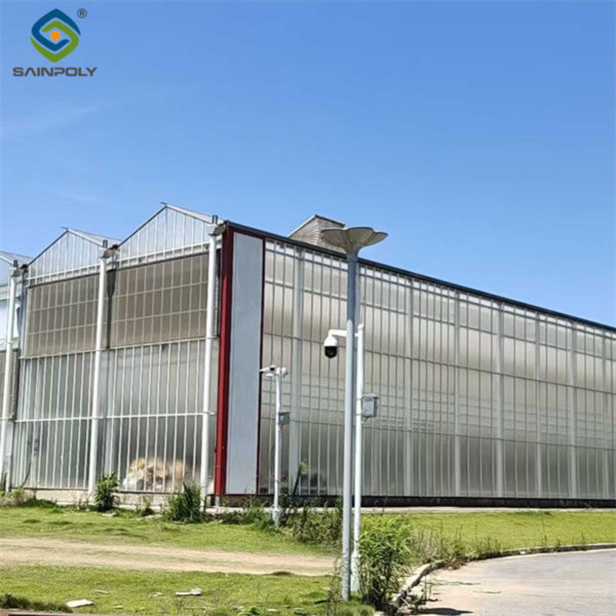 Agricultural Polycarbonate Multi Span Greenhouse Venlo Style 30-60m Length