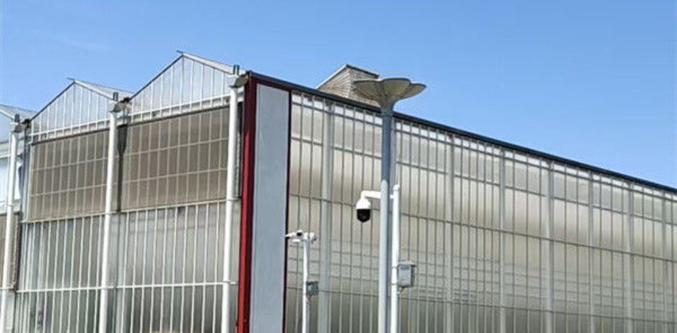 Agricultural Polycarbonate Multi Span Greenhouse Venlo Style 30-60m Length