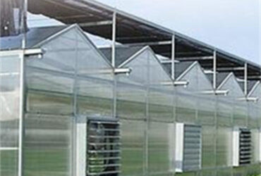 Agricultural Polycarbonate Multi Span Greenhouse Venlo Style 30-60m Length