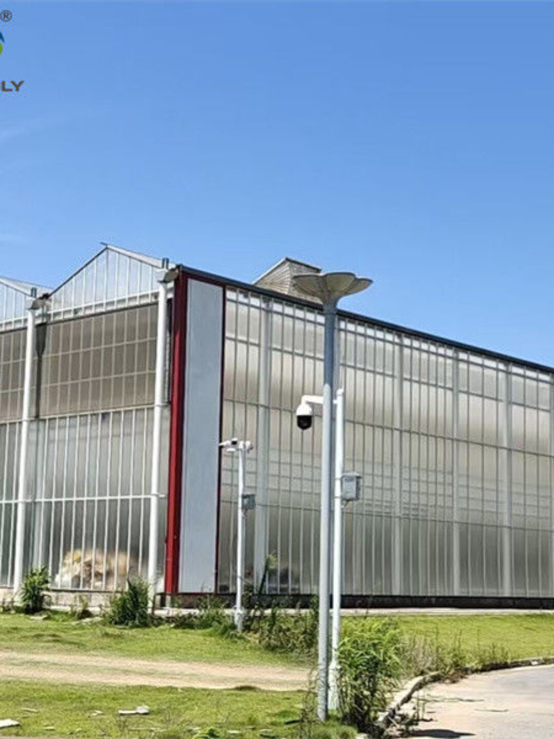 Agricultural Polycarbonate Multi Span Greenhouse Venlo Style 30-60m Length