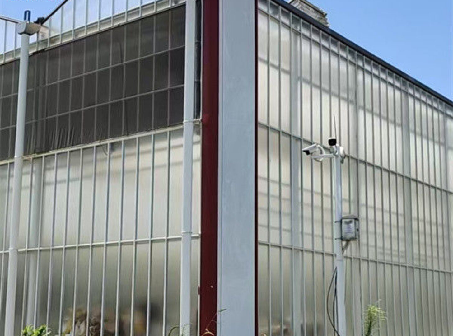 Agricultural Polycarbonate Multi Span Greenhouse Venlo Style 30-60m Length