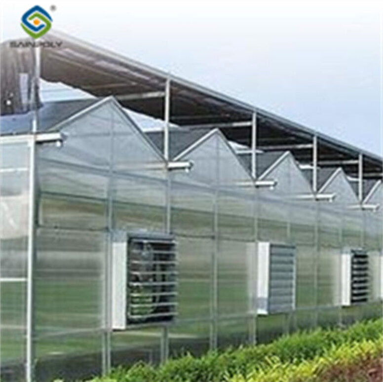 Agricultural Polycarbonate Multi Span Greenhouse Venlo Style 30-60m Length