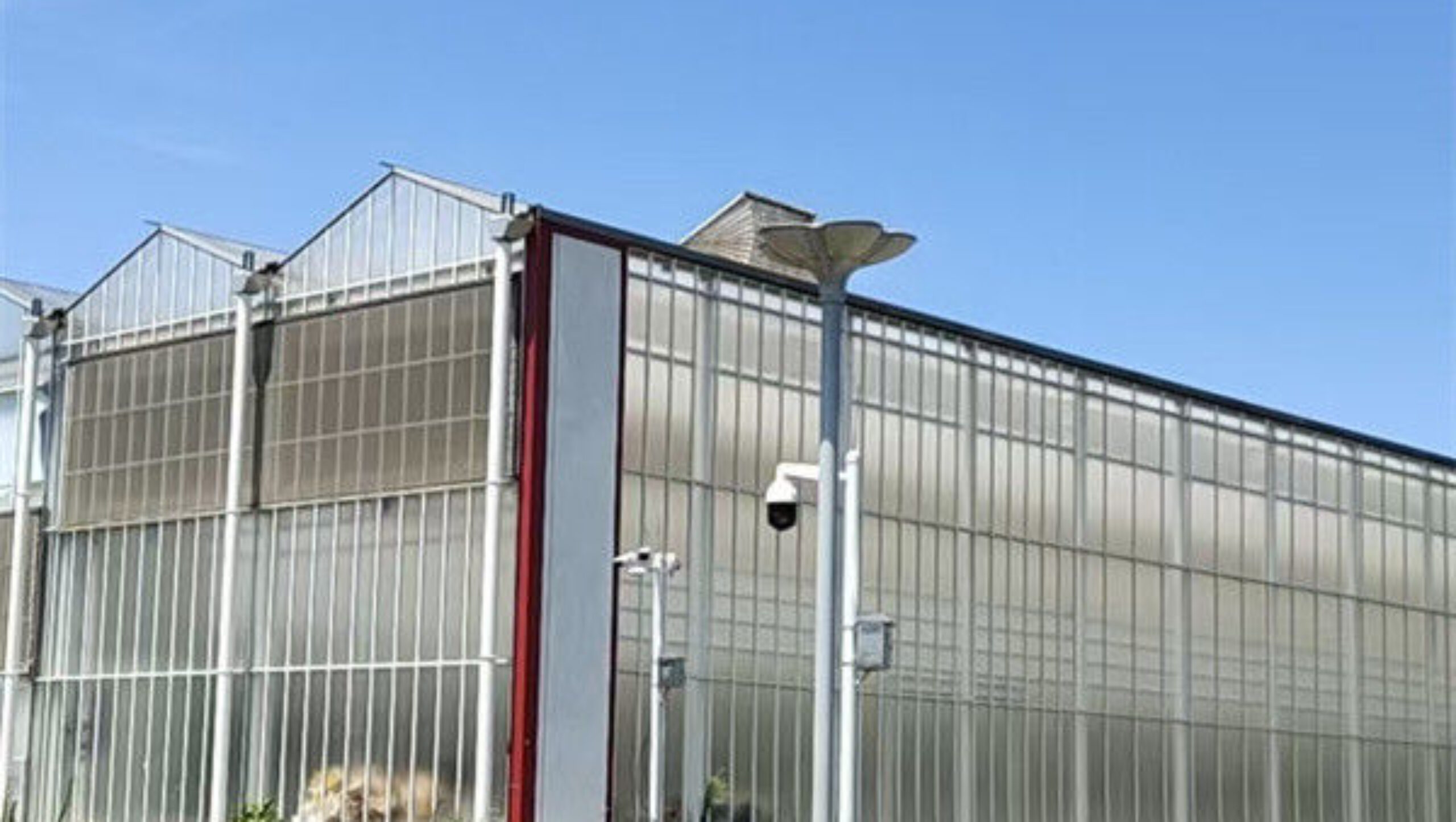 Agricultural Polycarbonate Multi Span Greenhouse Venlo Style 30-60m Length