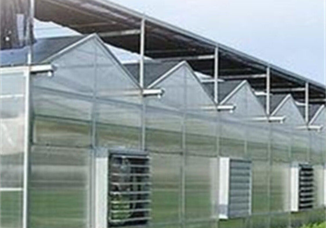 Agricultural Polycarbonate Multi Span Greenhouse Venlo Style 30-60m Length