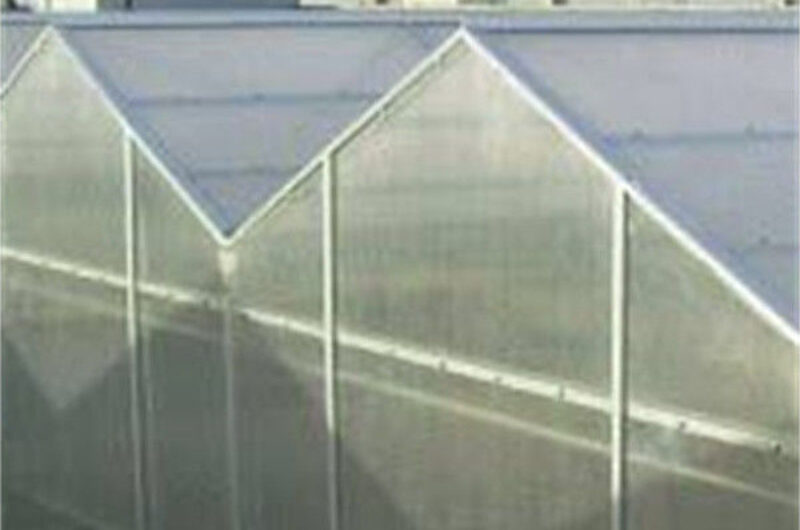 Agricultural Polycarbonate Multi Span Greenhouse Venlo Style 30-60m Length