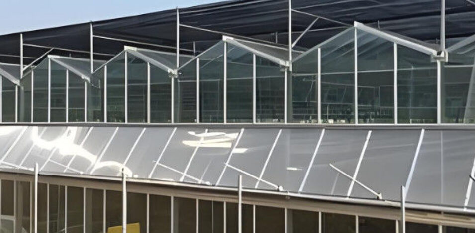 Agricultural Venlo Commercial Glass Greenhouse Width 9.6m With Hydroponic System