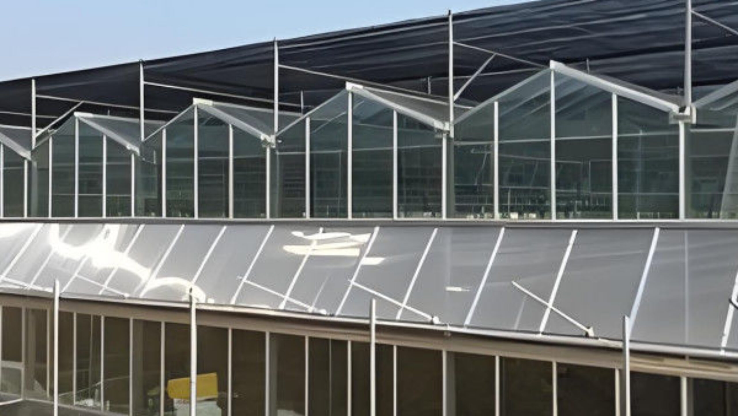 Agricultural Venlo Commercial Glass Greenhouse Width 9.6m With Hydroponic System