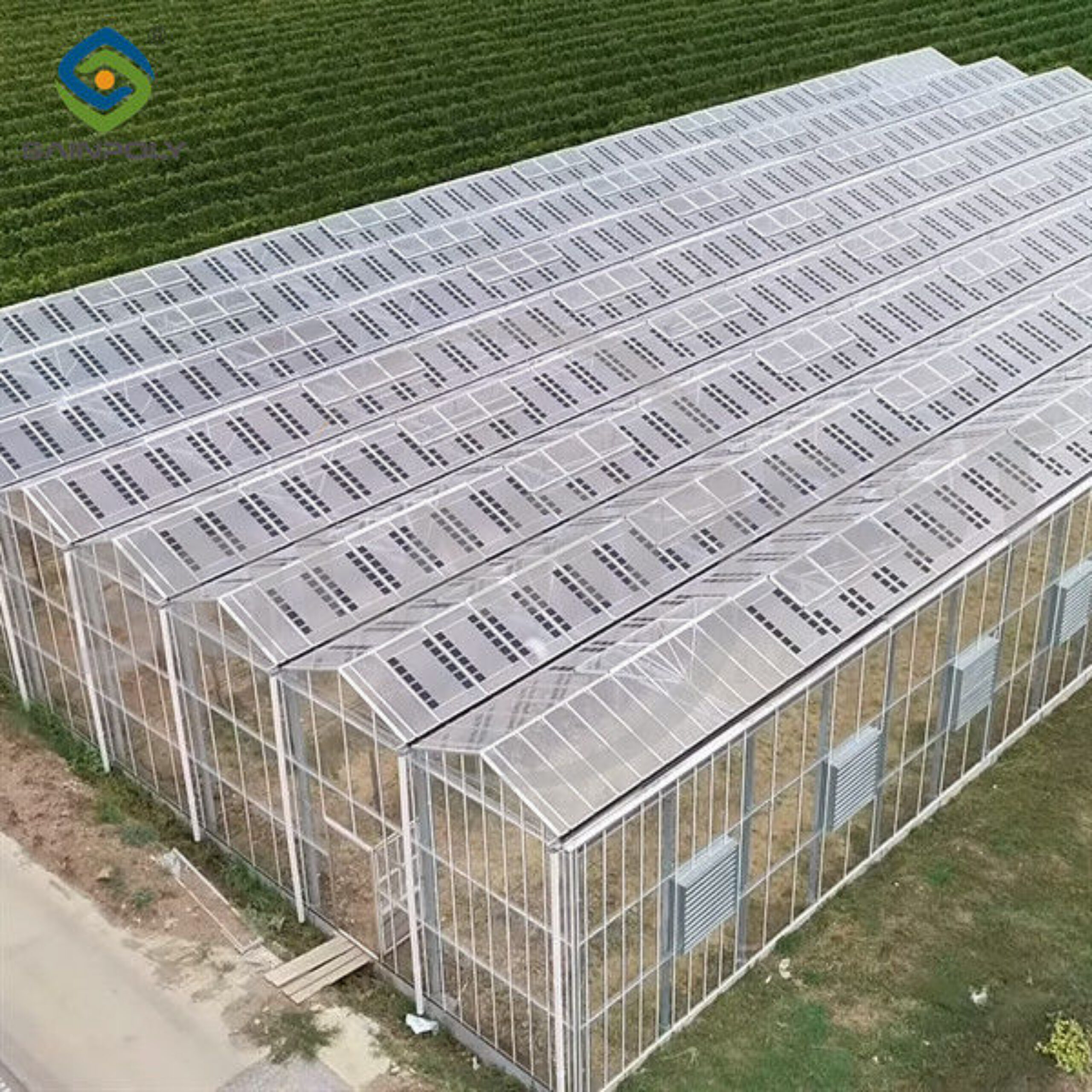 Agriculture Commercial Transparent Solar Panels Greenhouses Energy Saving