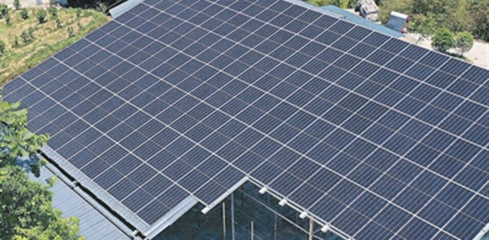 Agriculture Commercial Transparent Solar Panels Greenhouses Energy Saving