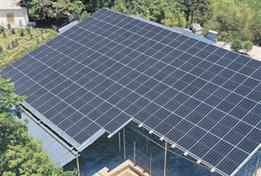 Agriculture Commercial Transparent Solar Panels Greenhouses Energy Saving