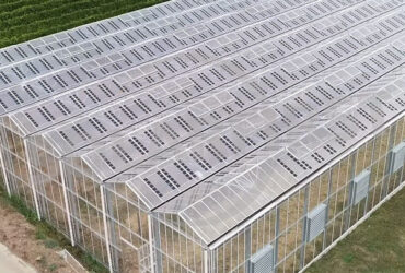 Agriculture Commercial Transparent Solar Panels Greenhouses Energy Saving