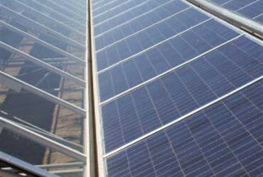 Agriculture Commercial Transparent Solar Panels Greenhouses Energy Saving
