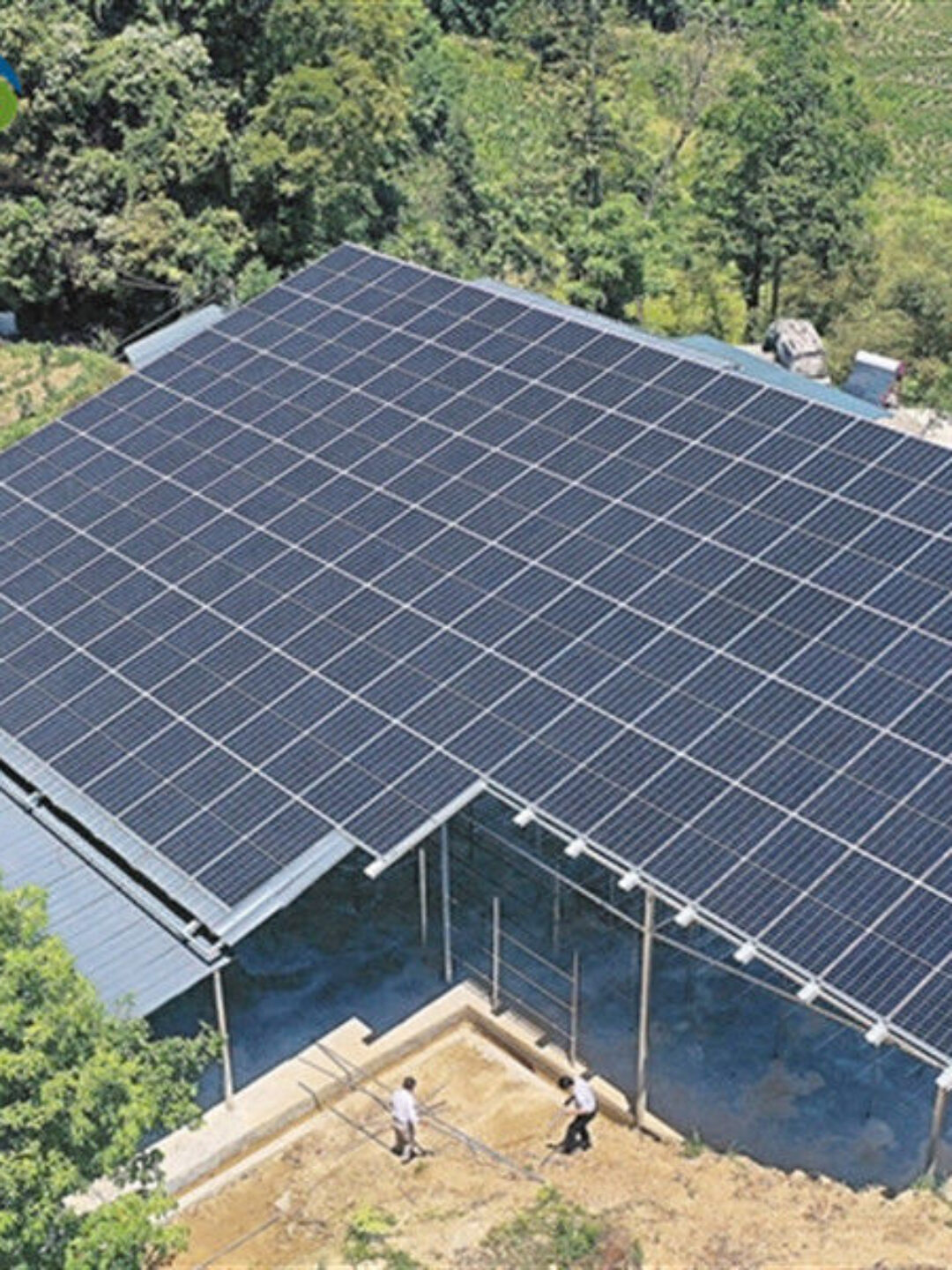 Agriculture Commercial Transparent Solar Panels Greenhouses Energy Saving