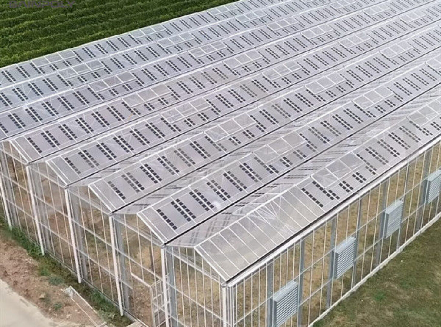 Agriculture Commercial Transparent Solar Panels Greenhouses Energy Saving