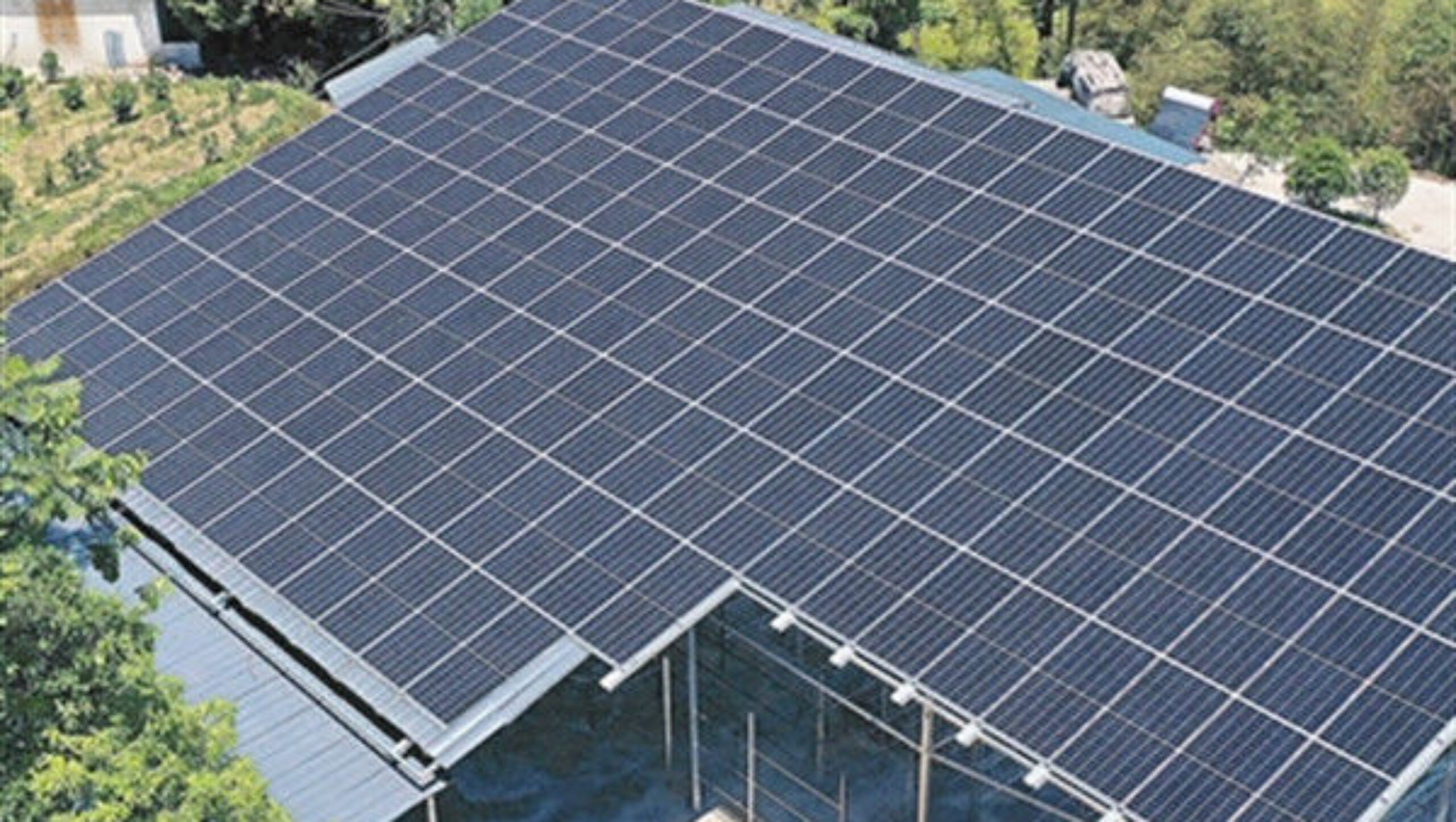 Agriculture Commercial Transparent Solar Panels Greenhouses Energy Saving