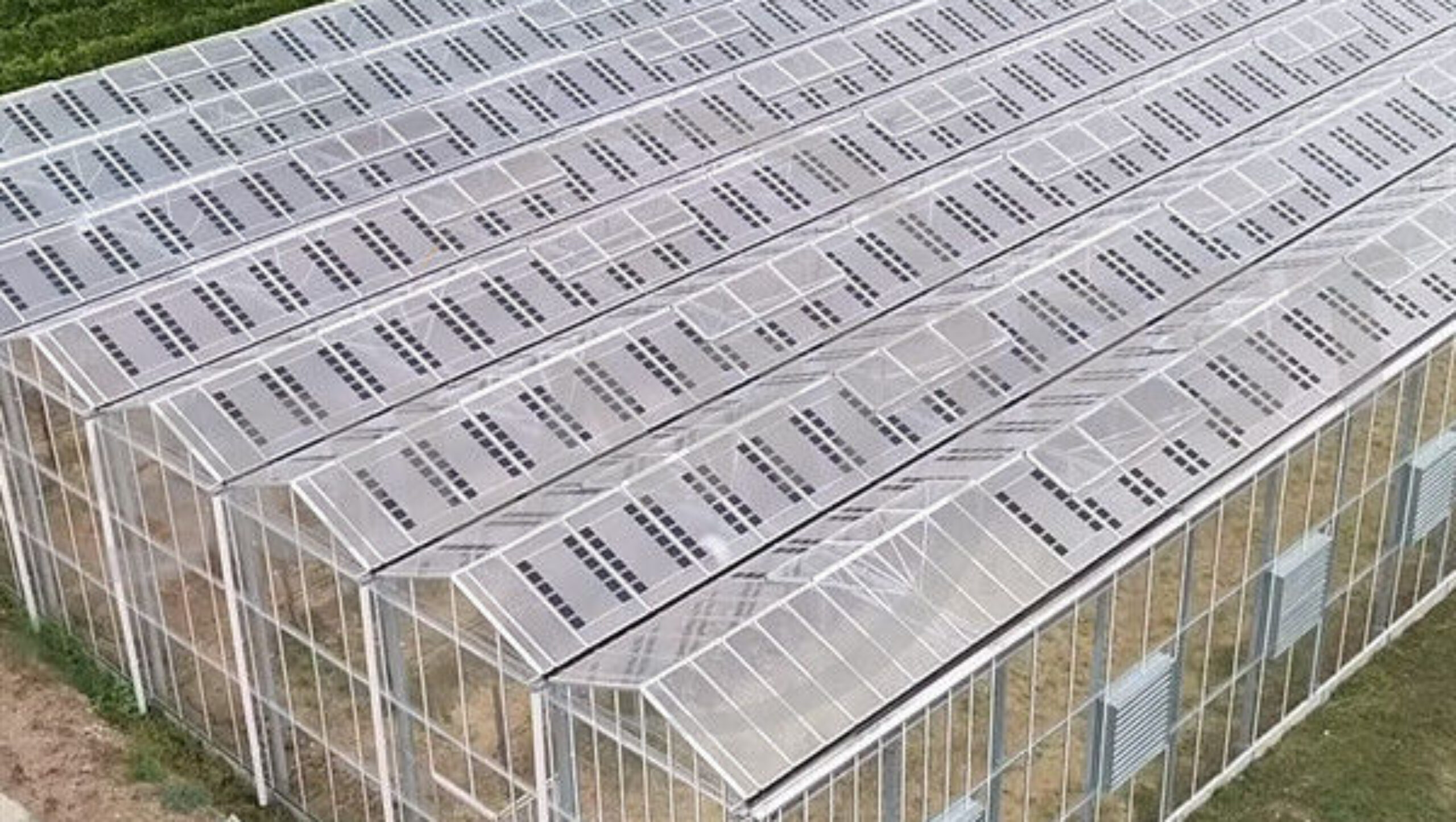 Agriculture Commercial Transparent Solar Panels Greenhouses Energy Saving
