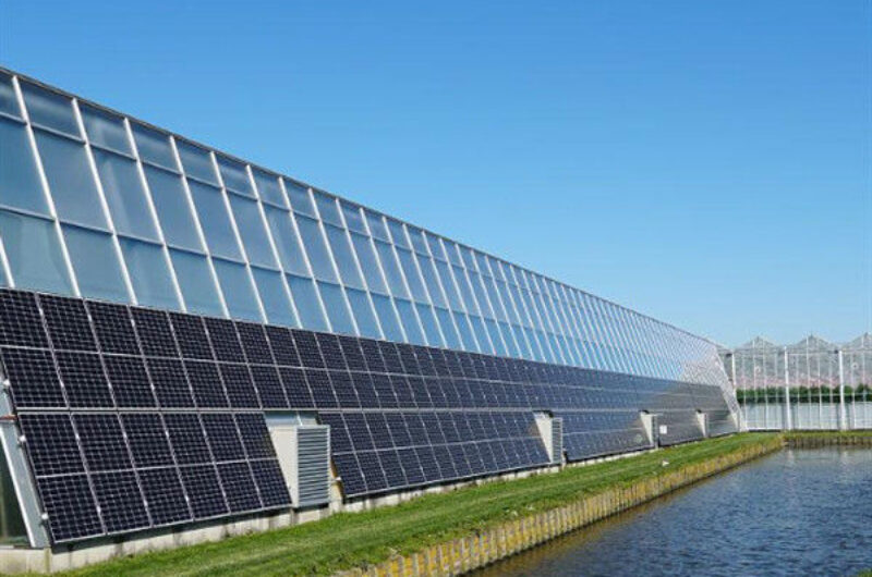 Agriculture Commercial Transparent Solar Panels Greenhouses Energy Saving