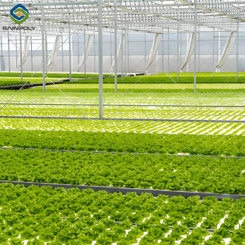 Agriculture Greenhouse Hydroponics Greenhouse Steel Frame Weather Proof