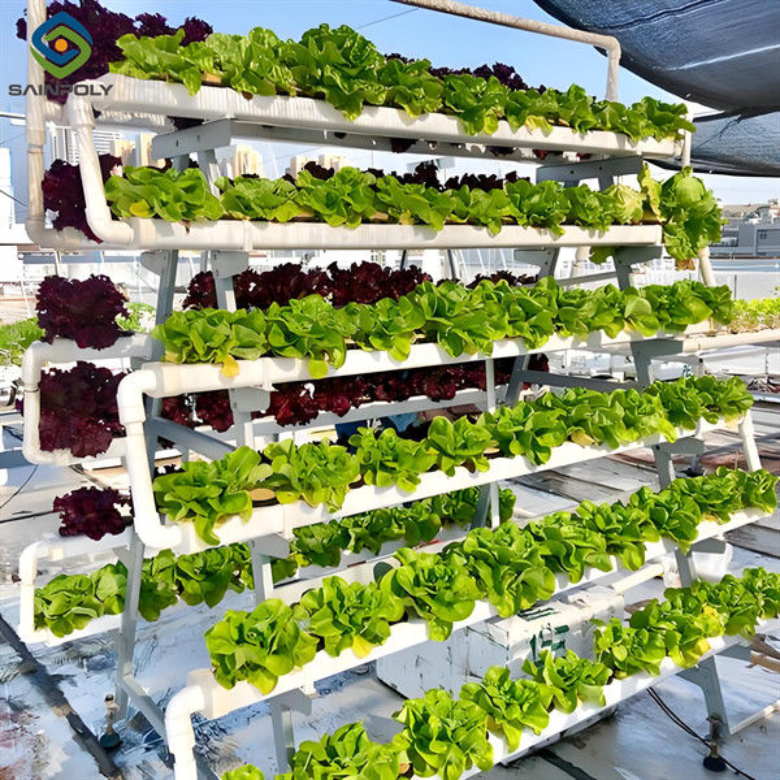Agriculture Greenhouse Hydroponics Greenhouse Steel Frame Weather Proof