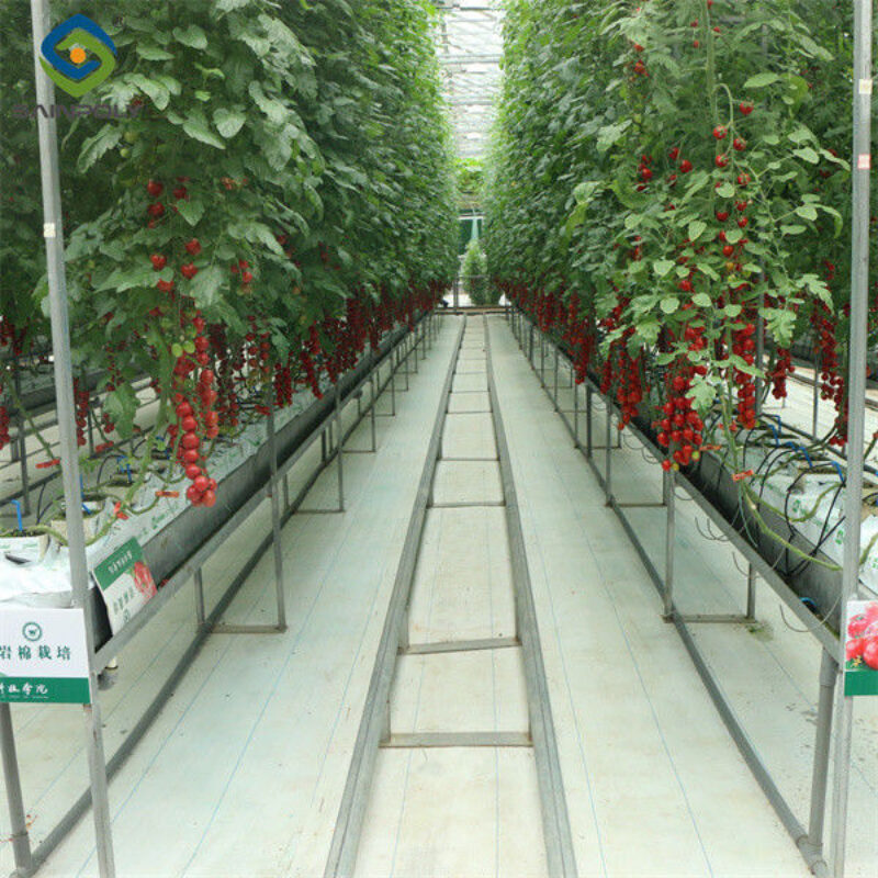 Agriculture Multi Span Greenhouse For Tomato Plants And Cucumber Growing