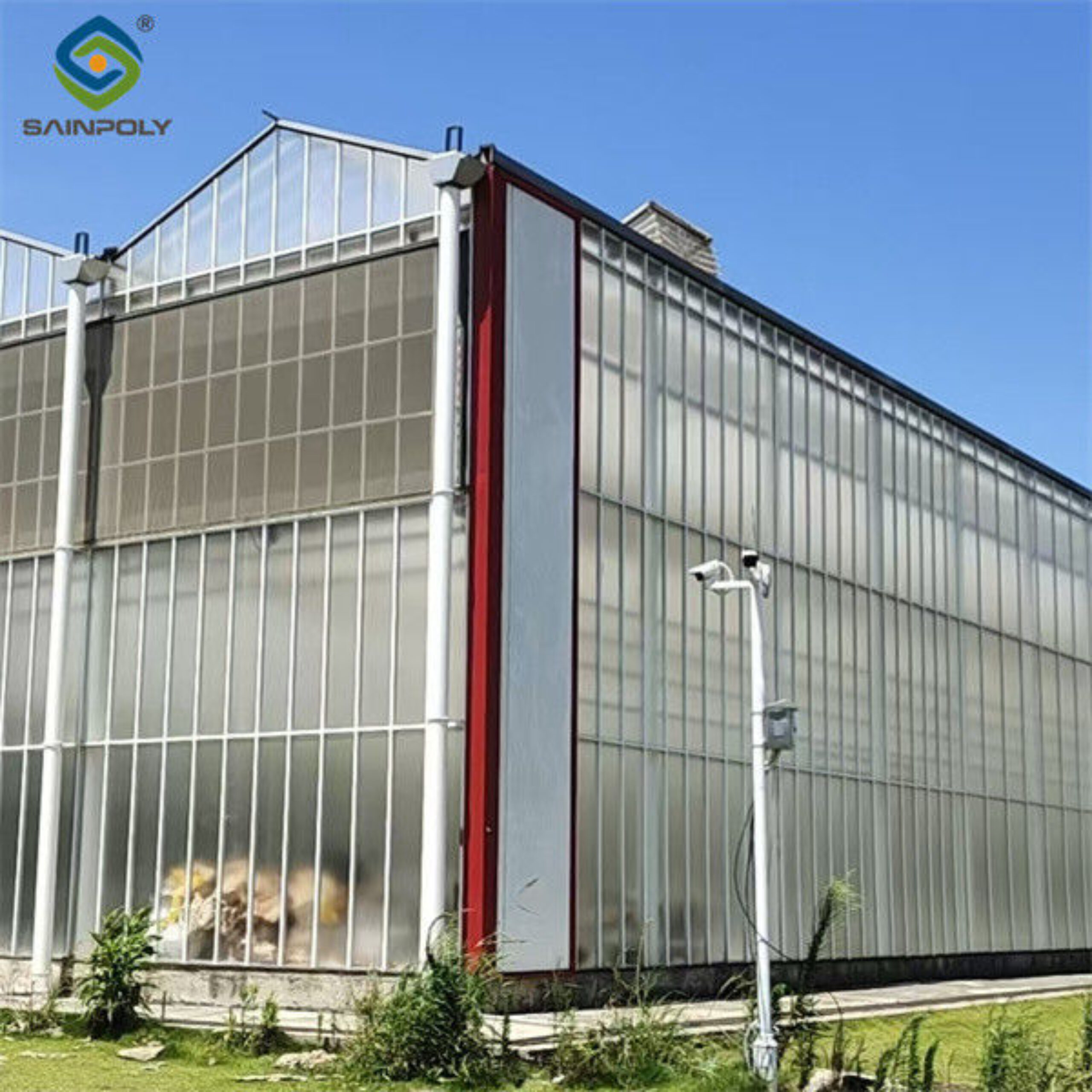 Agriculture Polycarbonate Venlo Type Greenhouse For Planting Tomatoes