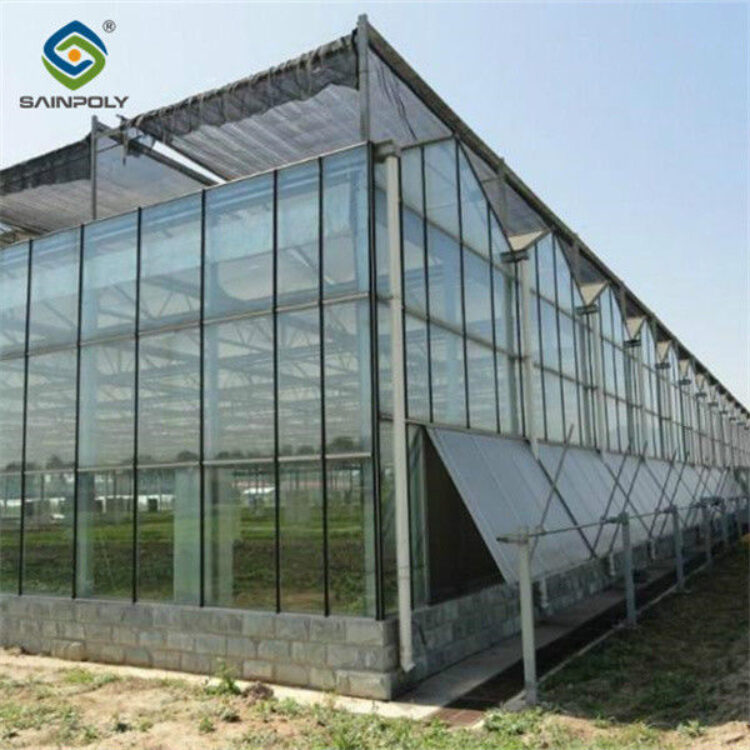 Agriculture Polycarbonate Venlo Type Greenhouse For Planting Tomatoes
