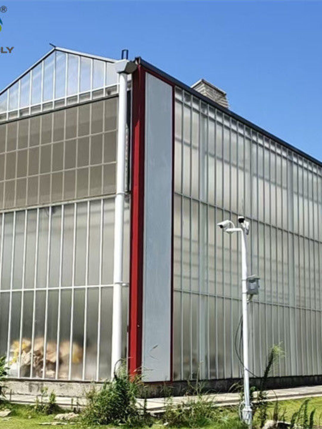 Agriculture Polycarbonate Venlo Type Greenhouse For Planting Tomatoes