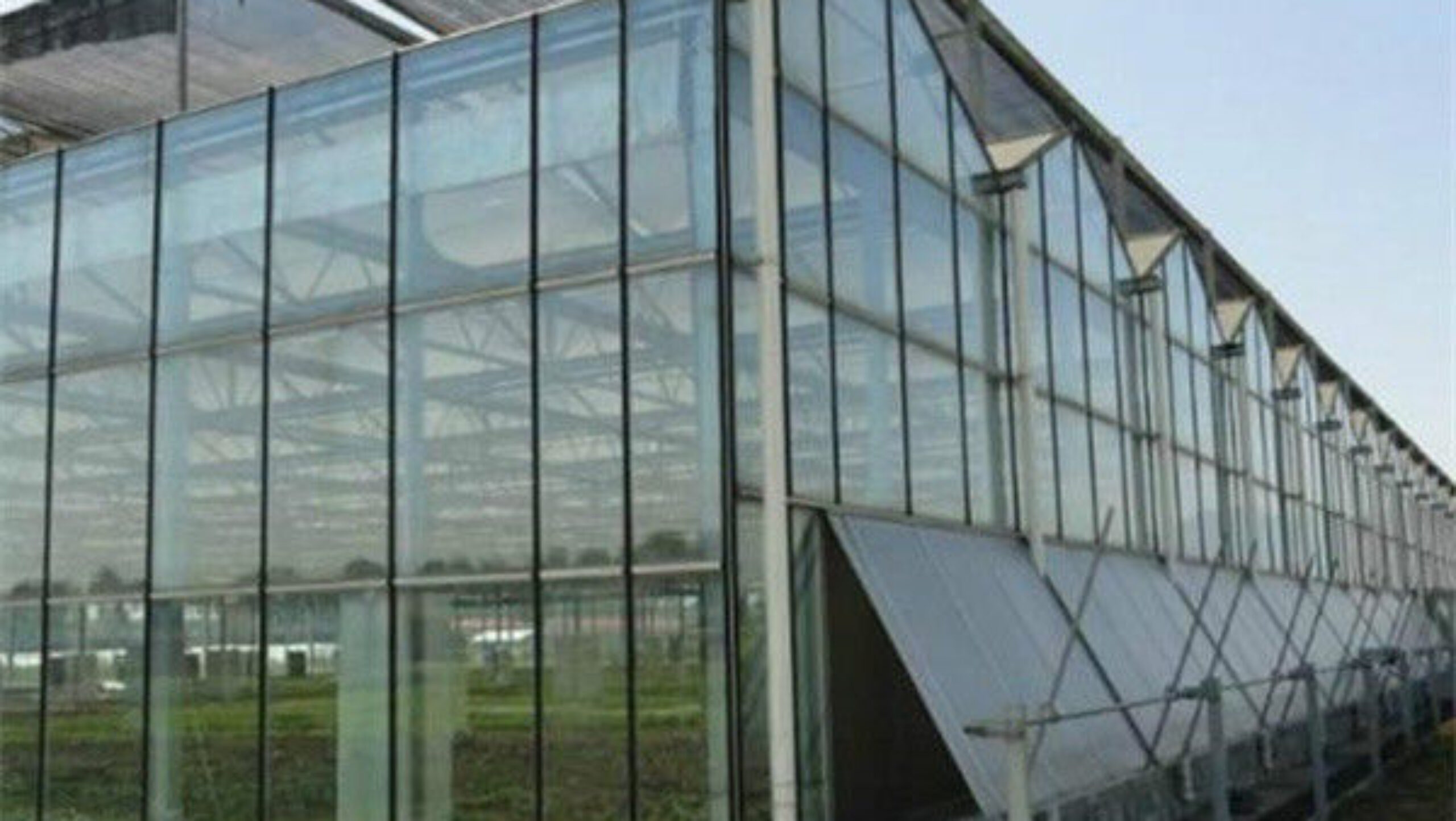 Agriculture Polycarbonate Venlo Type Greenhouse For Planting Tomatoes
