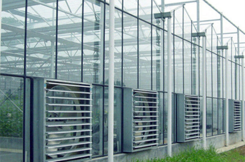 Agriculture Polycarbonate Venlo Type Greenhouse For Planting Tomatoes