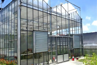 Anti Reflective Automatic Venlo Glass Greenhouse With Agricultural Farming Systems