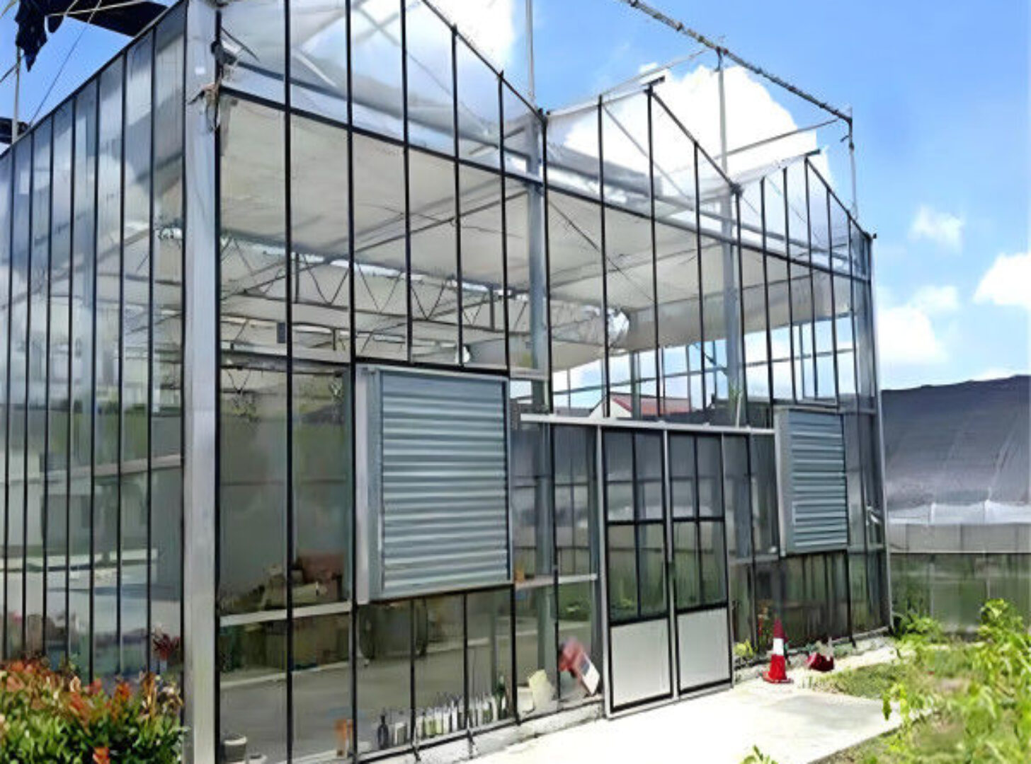 Anti Reflective Automatic Venlo Glass Greenhouse With Agricultural Farming Systems