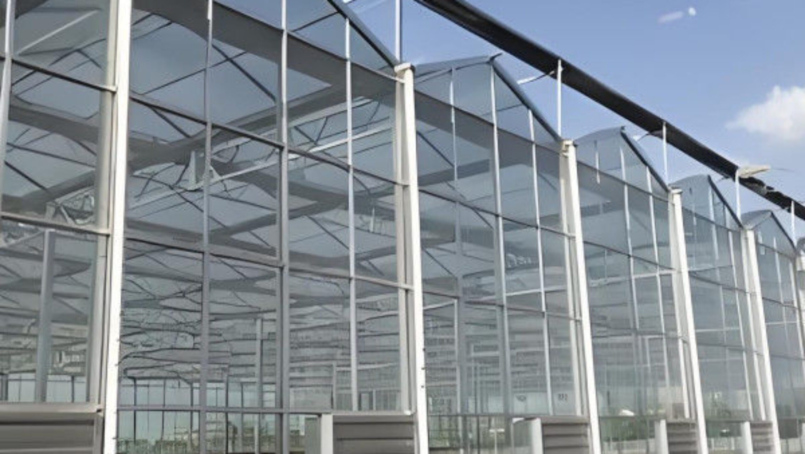 Anti Reflective Automatic Venlo Glass Greenhouse With Agricultural Farming Systems