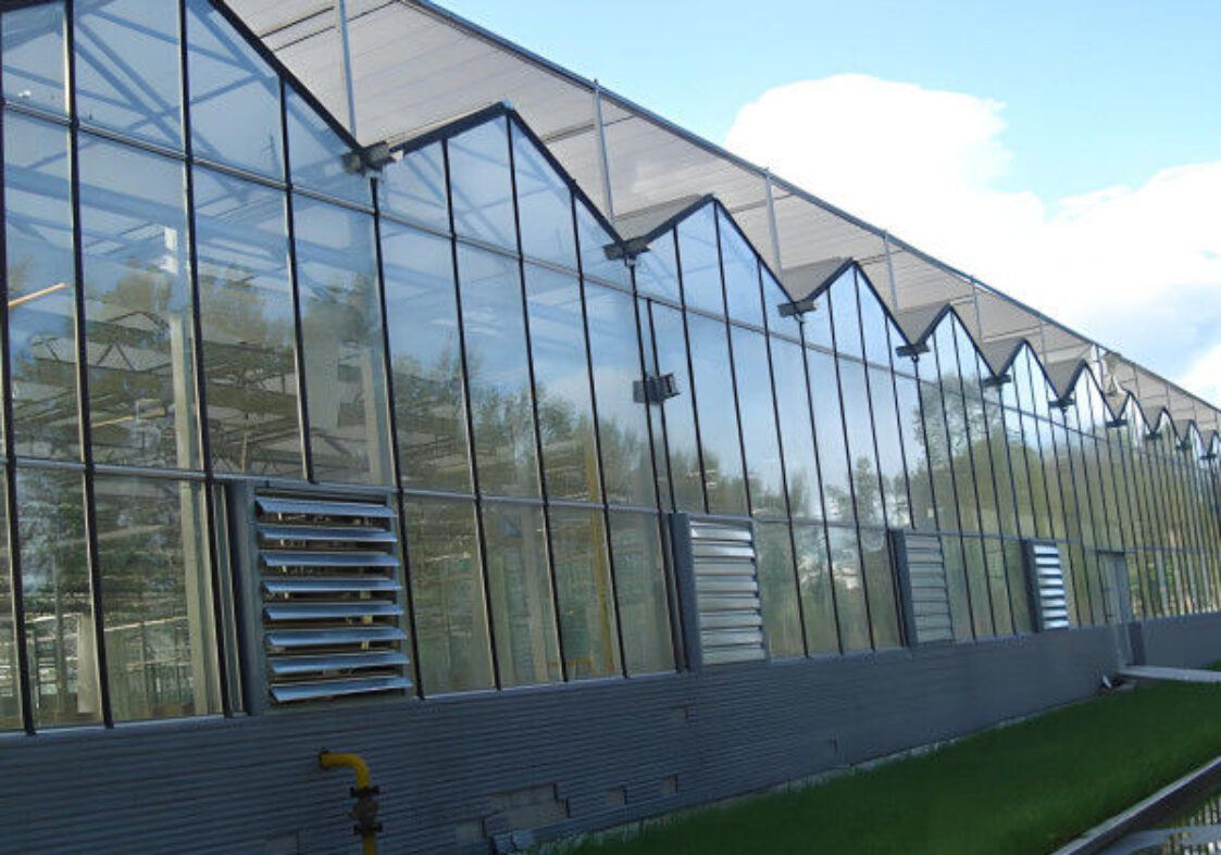 Anti Reflective Automatic Venlo Glass Greenhouse With Agricultural Farming Systems