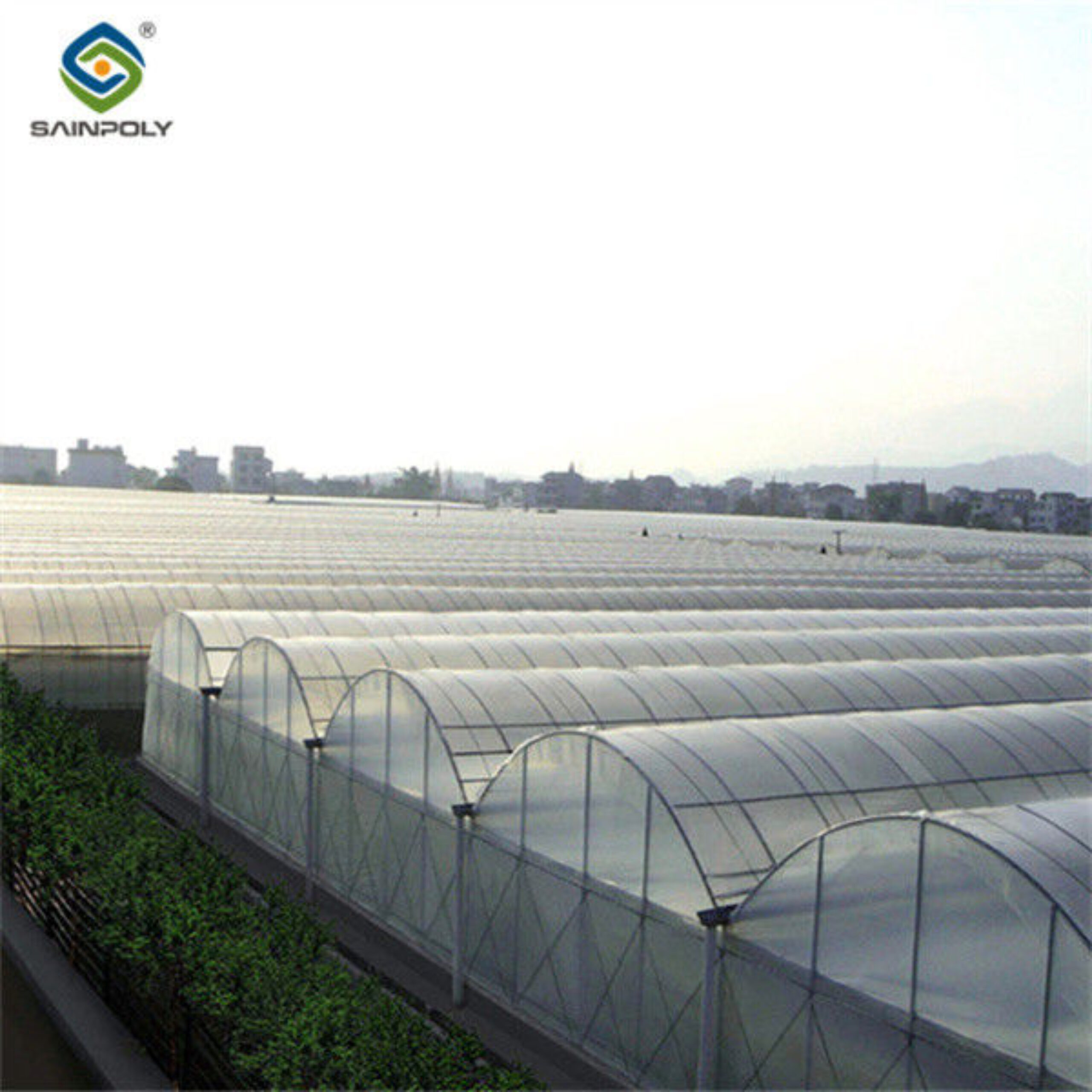 Automated Commercial Greenhouse Agriculture Farming Greenhouse Weather Proof
