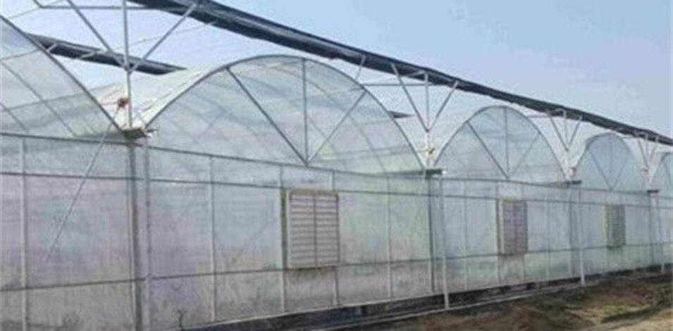 Automated Commercial Greenhouse Agriculture Farming Greenhouse Weather Proof