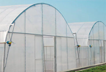 Automated Commercial Greenhouse Agriculture Farming Greenhouse Weather Proof