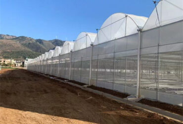 Automated Commercial Greenhouse Agriculture Farming Greenhouse Weather Proof