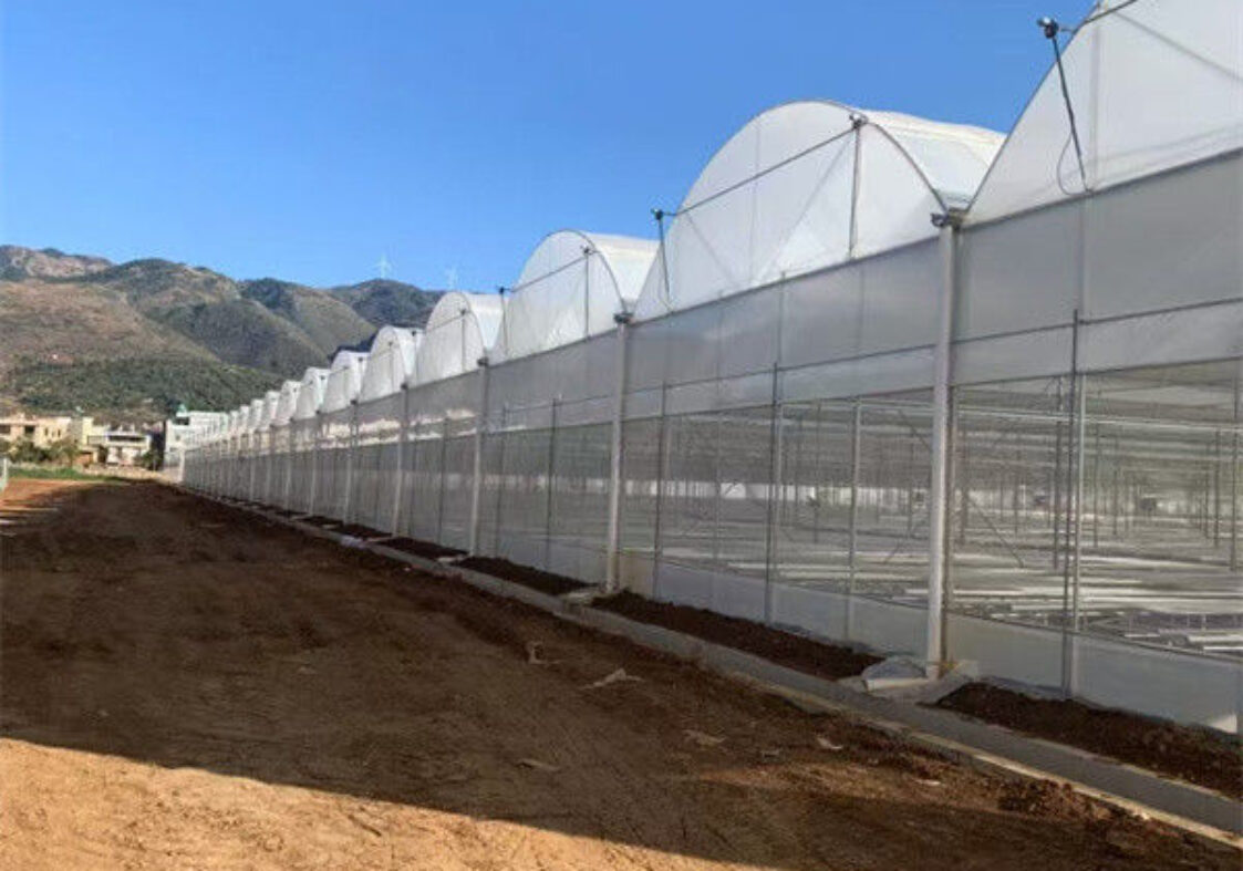 Automated Commercial Greenhouse Agriculture Farming Greenhouse Weather Proof